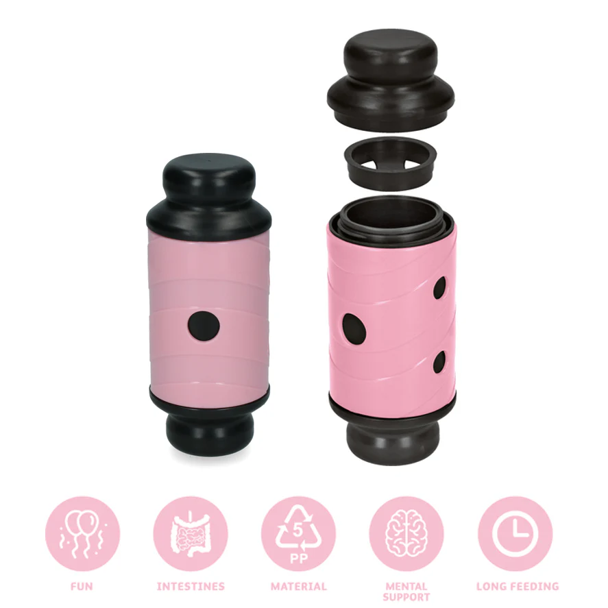 Jeu distributeur croquettes & friandises (Large) - Rose