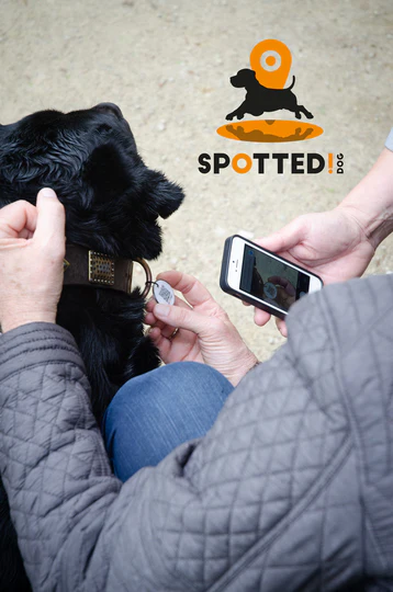 Spotted! - Médaille avec QR-Code de traçabilité (small)