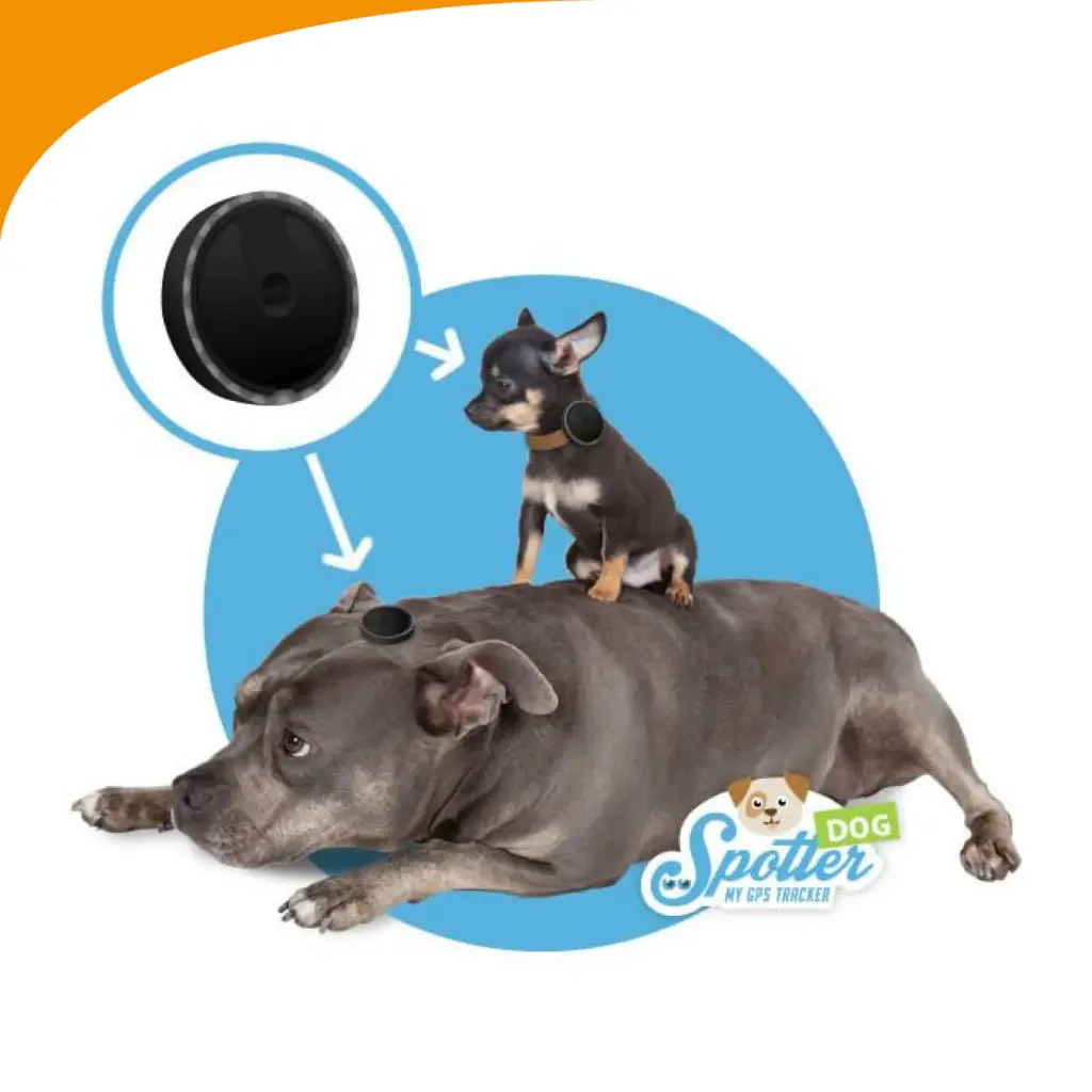 Traceur GPS pour chiens