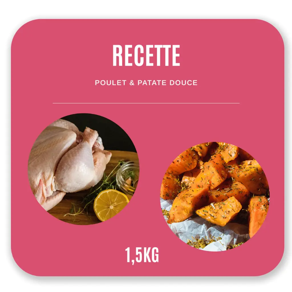 Croquettes Chat Adulte 1,5 kg - Poulet / Patate Douce