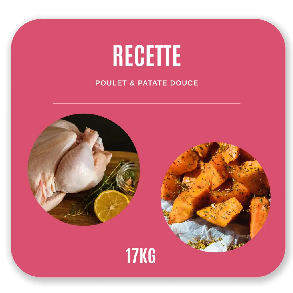 Croquettes Chat Adulte 17 kg - Poulet / Patate Douce