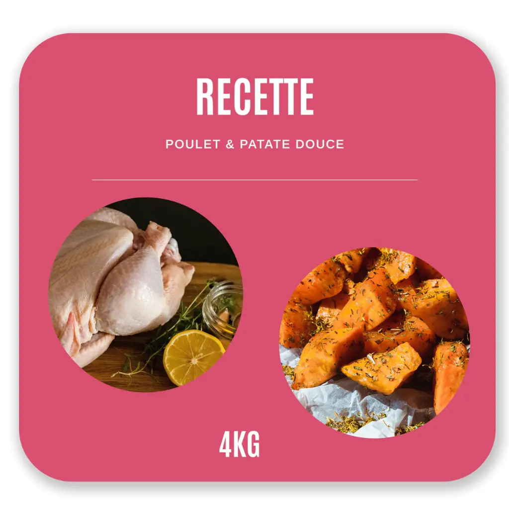 Croquettes Chat Adulte 4 kg - Poulet / Patate Douce