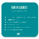 Croquettes Chien Adulte 4 kg - Canard / Pommes de Terre