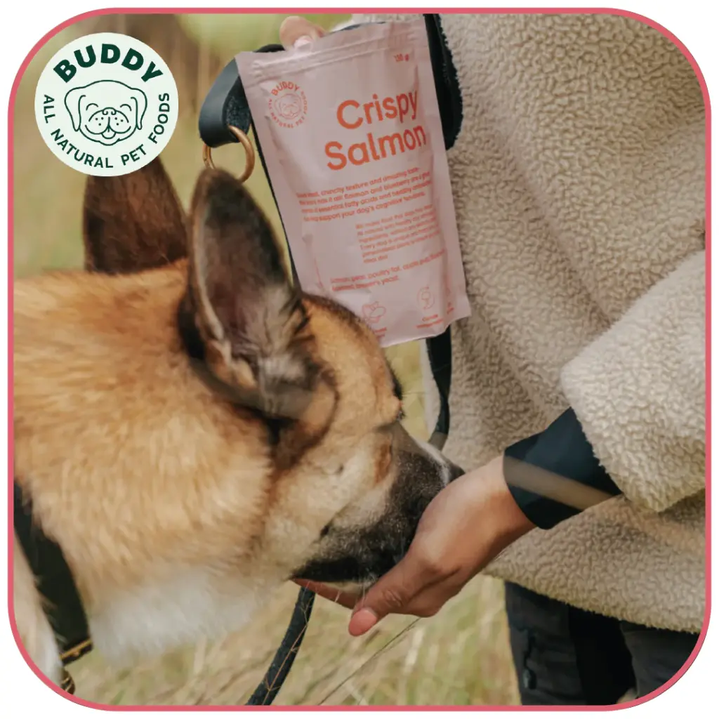 Crispy Salmon | Friandise pour chien au saumon | Carton de 10