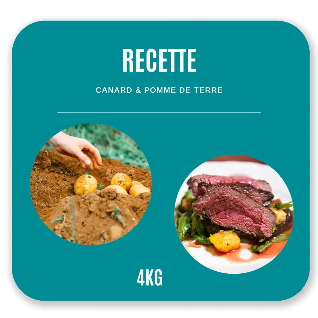 Croquettes Chien Adulte 4 kg - Canard / Pommes de Terre