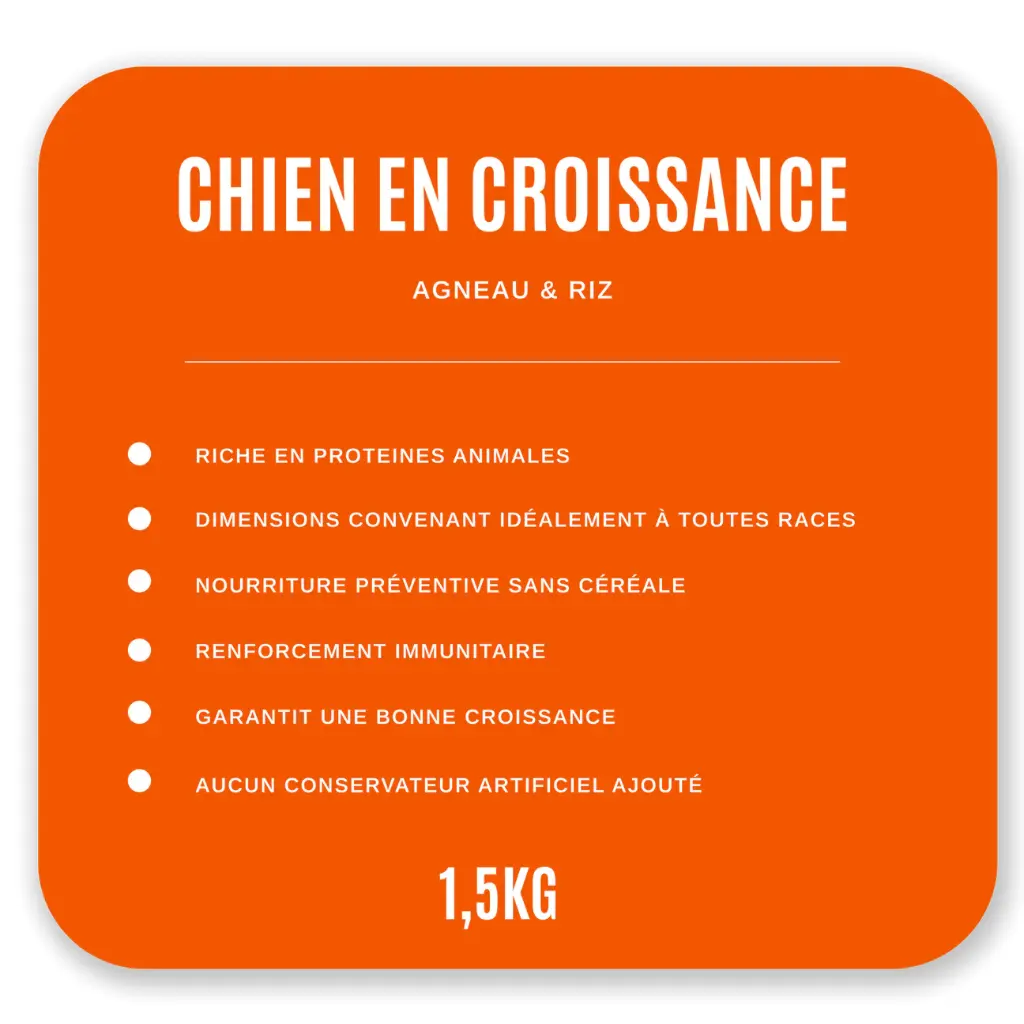 Croquettes Chien en Croissance 1,5 kg - Agneau / Riz