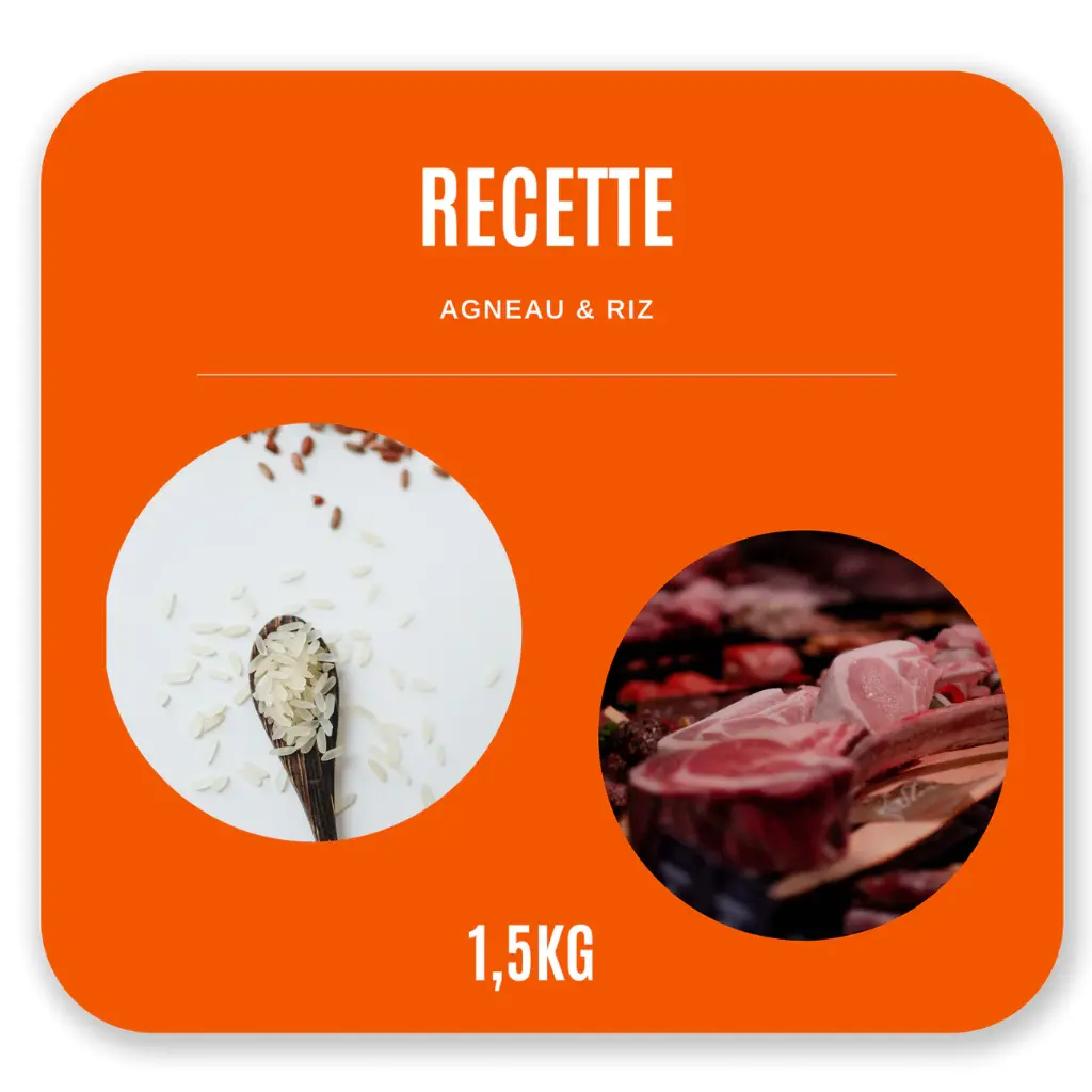 Croquettes Chien en Croissance 1,5 kg - Agneau / Riz