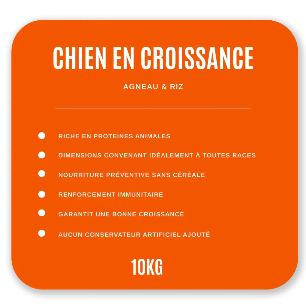 Croquettes Chien en Croissance 10 kg- Agneau / Riz