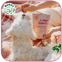 Crispy Salmon | Friandise pour chien au saumon | Carton de 10