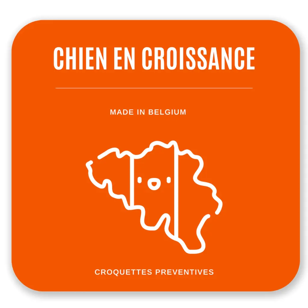 Croquettes Chien en Croissance 17 kg- Agneau / Riz