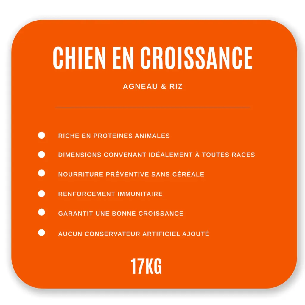 Croquettes Chien en Croissance 17 kg- Agneau / Riz