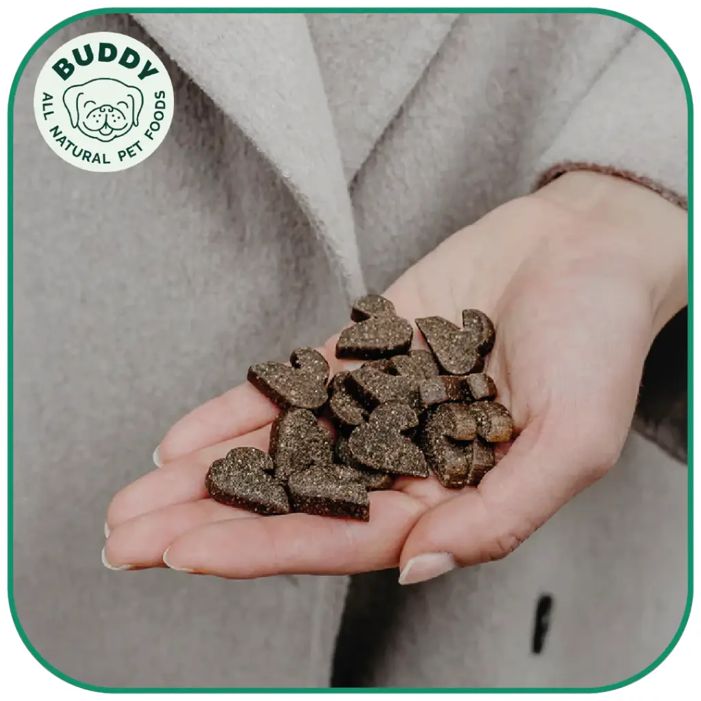Duckalicious | Friandise pour chien au canard | Carton de 10