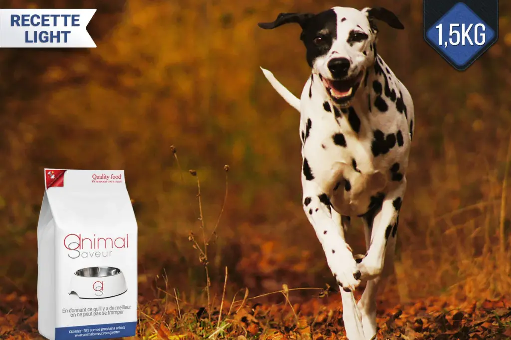 Croquette Chien Adulte Préventive Light 1,5 kg - Dinde / Pommes de Terre
