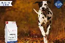 Croquette Chien Adulte Préventive Light 1,5 kg - Dinde / Pommes de Terre