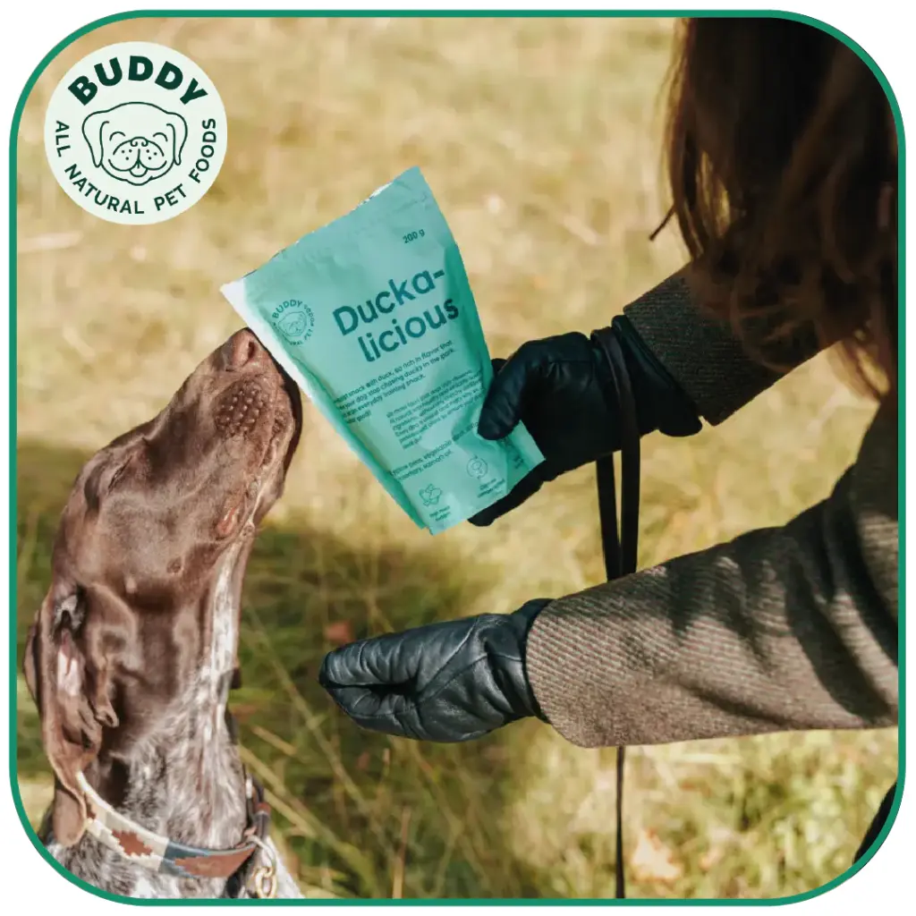 Duckalicious | Friandise pour chien au canard | Carton de 10
