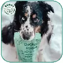 Duckalicious | Friandise pour chien au canard | Carton de 10