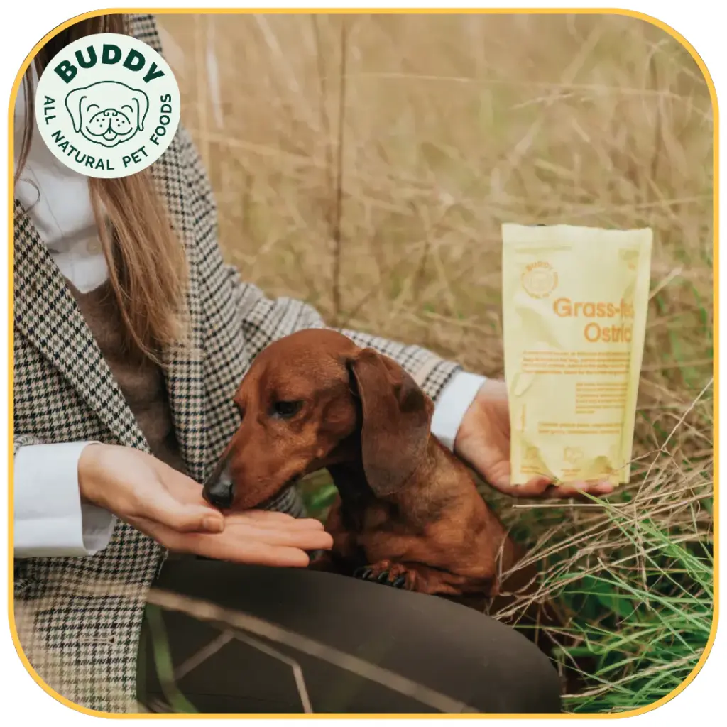 Grass-Fed Ostrich | Friandise pour chien à l'autruche | Carton de 10