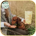Grass-Fed Ostrich | Friandise pour chien à l'autruche | Carton de 10