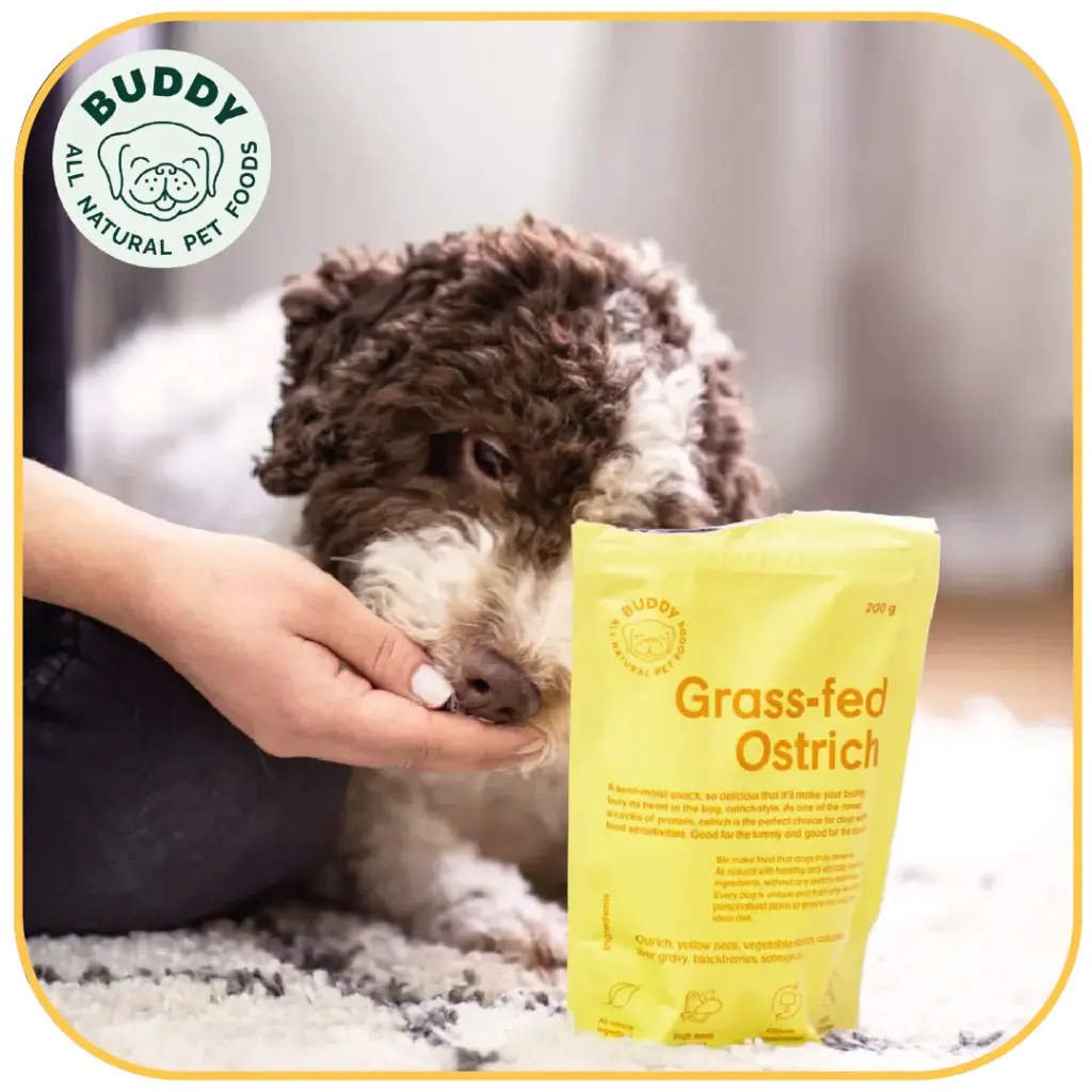 Grass-Fed Ostrich | Friandise pour chien à l'autruche | Carton de 10