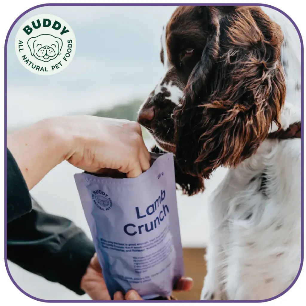Lamb Crunch | Friandise pour chien à l'agneau | Carton de 10