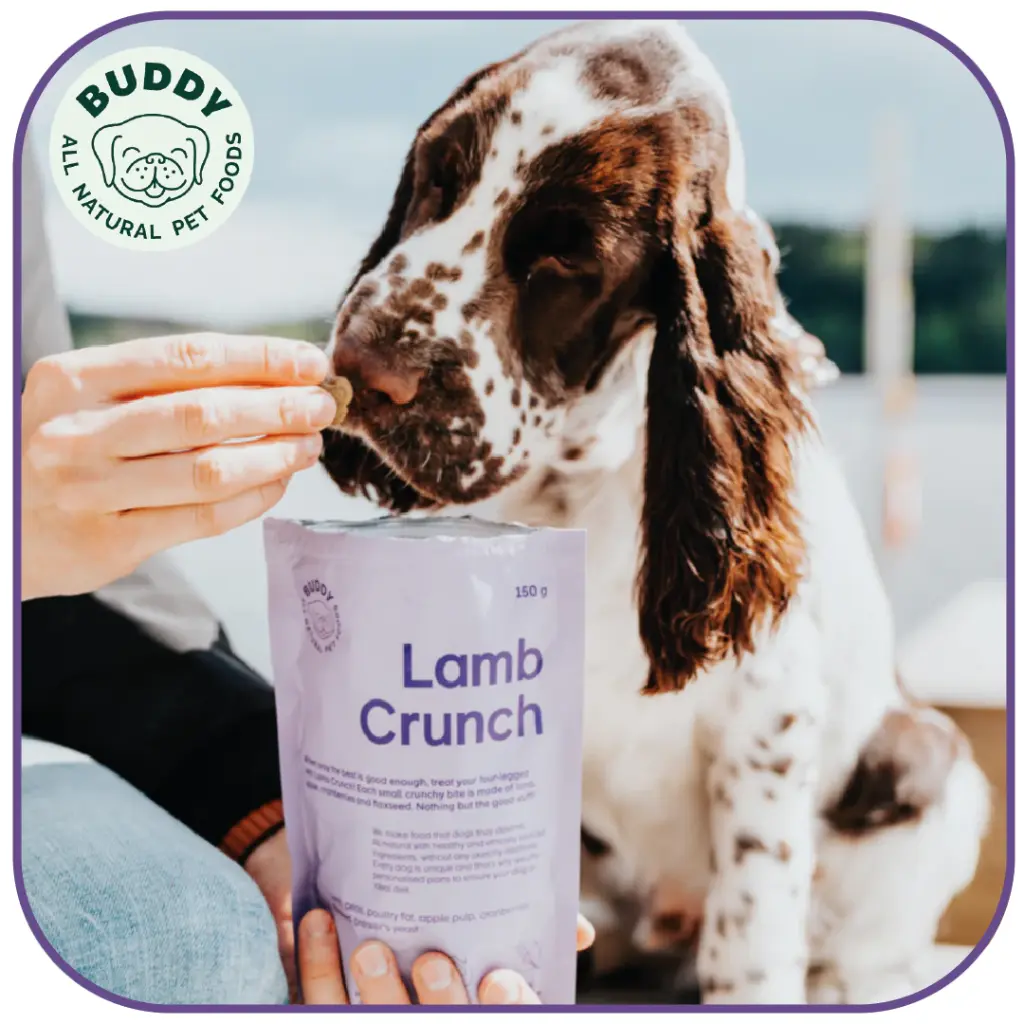 Lamb Crunch | Friandise pour chien à l'agneau | Carton de 10