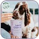 Lamb Crunch | Friandise pour chien à l'agneau | Carton de 10