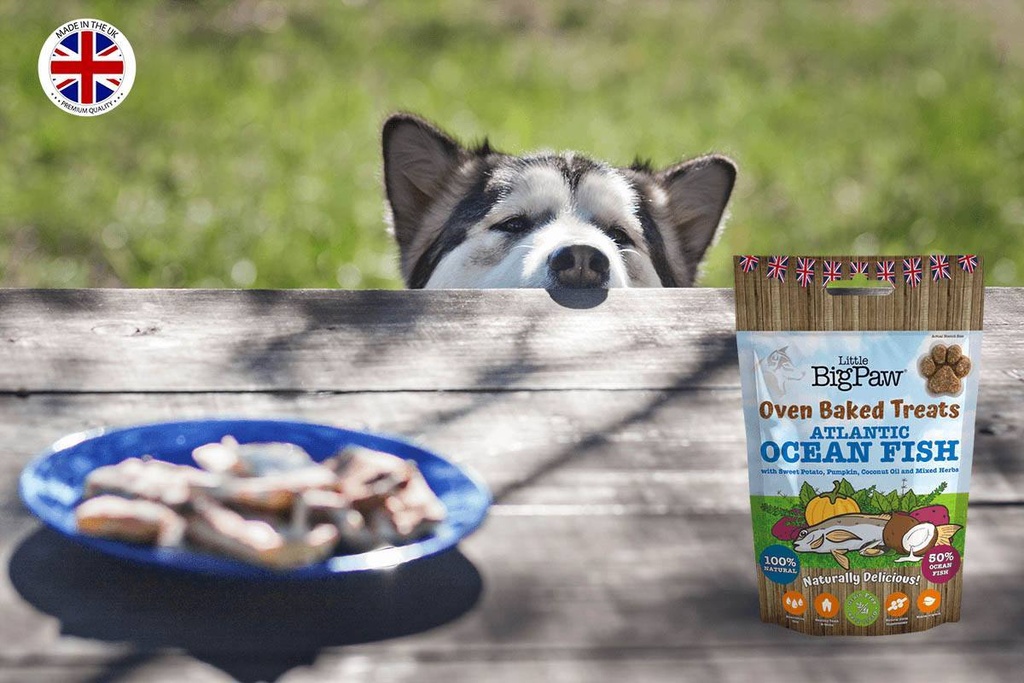 Little Big Paw - Biscuits au Poisson 130g - Carton