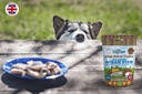 Little Big Paw - Biscuits au Poisson 130g - Carton