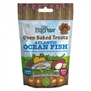 Little Big Paw - Biscuits au Poisson 130g - Carton