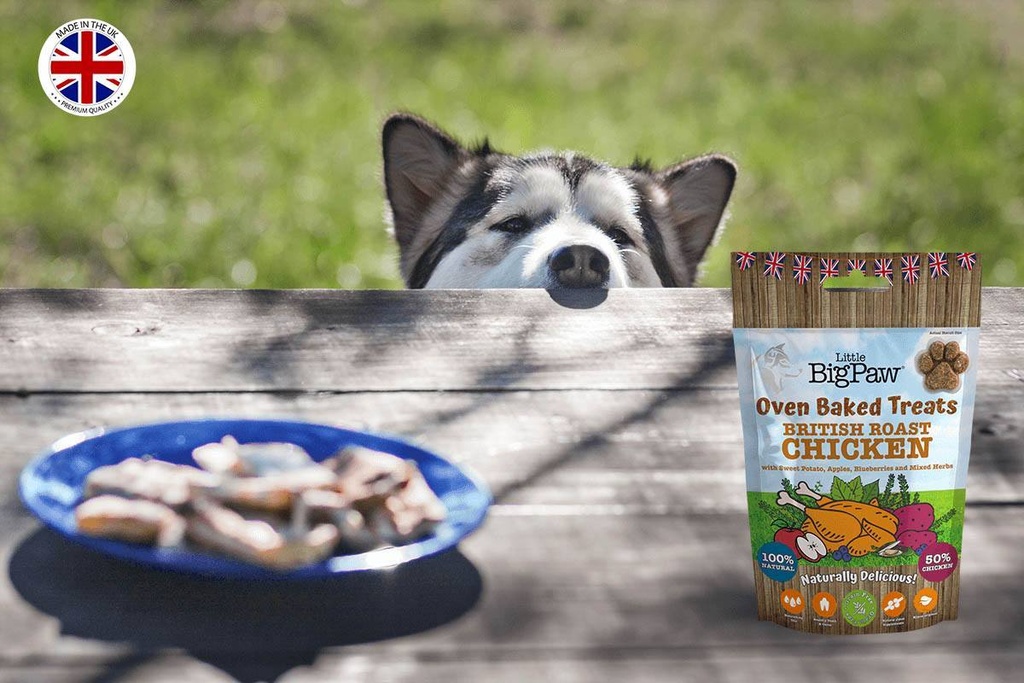 Little Big Paw - Biscuits au Poulet 130g - Carton