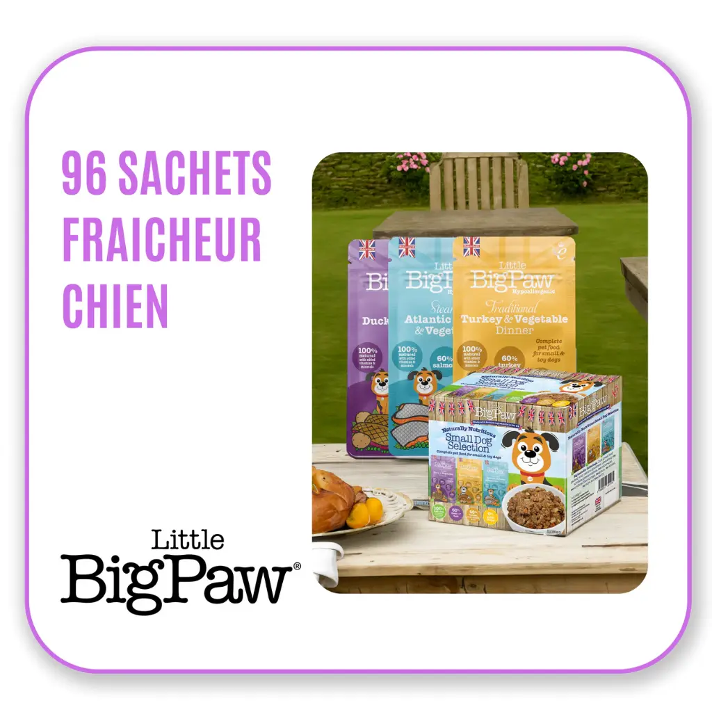 Little Big Paw - Offre présentoir