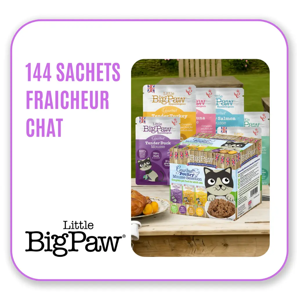 Little Big Paw - Offre présentoir