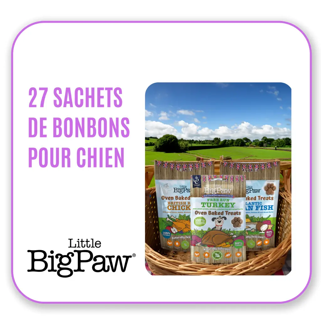 Little Big Paw - Offre présentoir