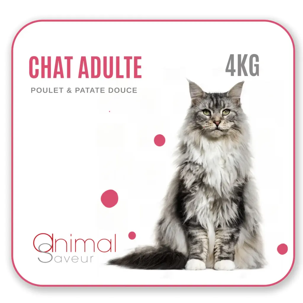 Croquettes Chat Adulte 4 kg - Poulet / Patate Douce