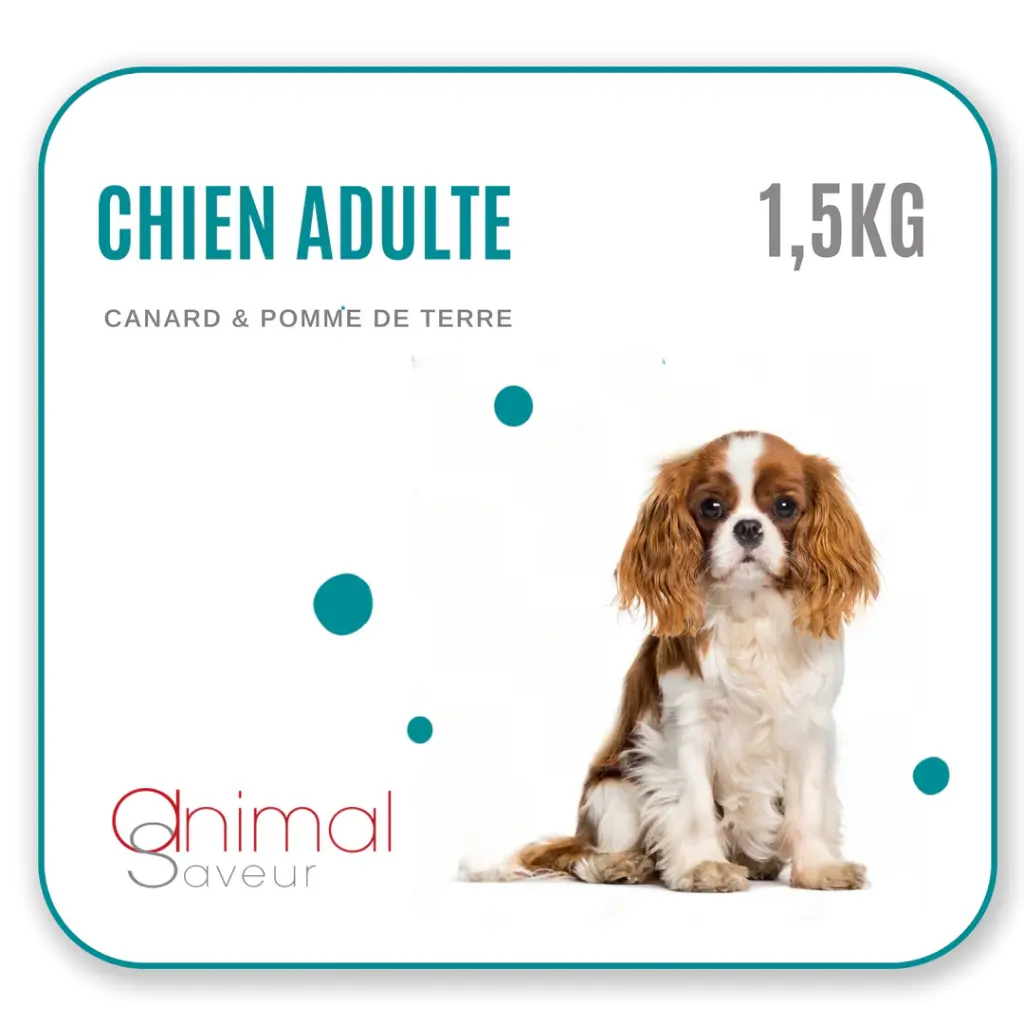 Croquettes Chien Adulte 1,5 kg - Canard / Pommes de Terre