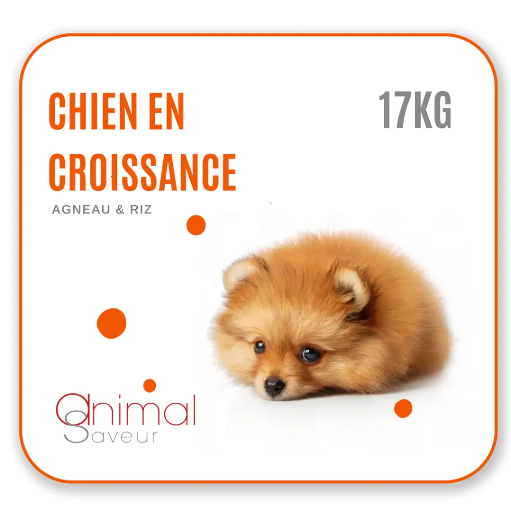 Croquettes Chien en Croissance 17 kg- Agneau / Riz