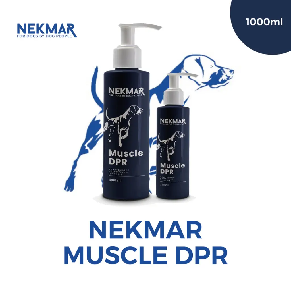 Muscle DPR | Complément alimentaire | 1000ml