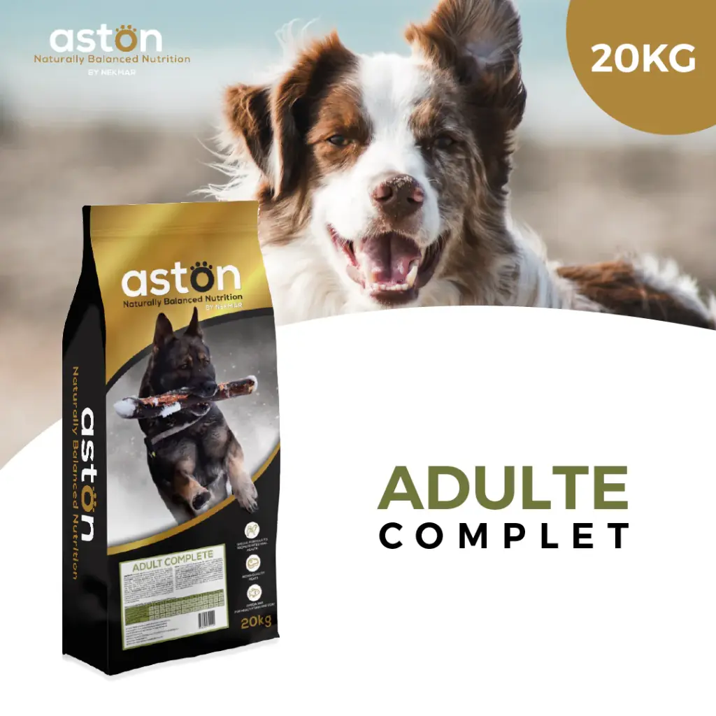Croquettes Chien Adulte Complet | 20kg