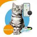 Traceur GPS pour chats
