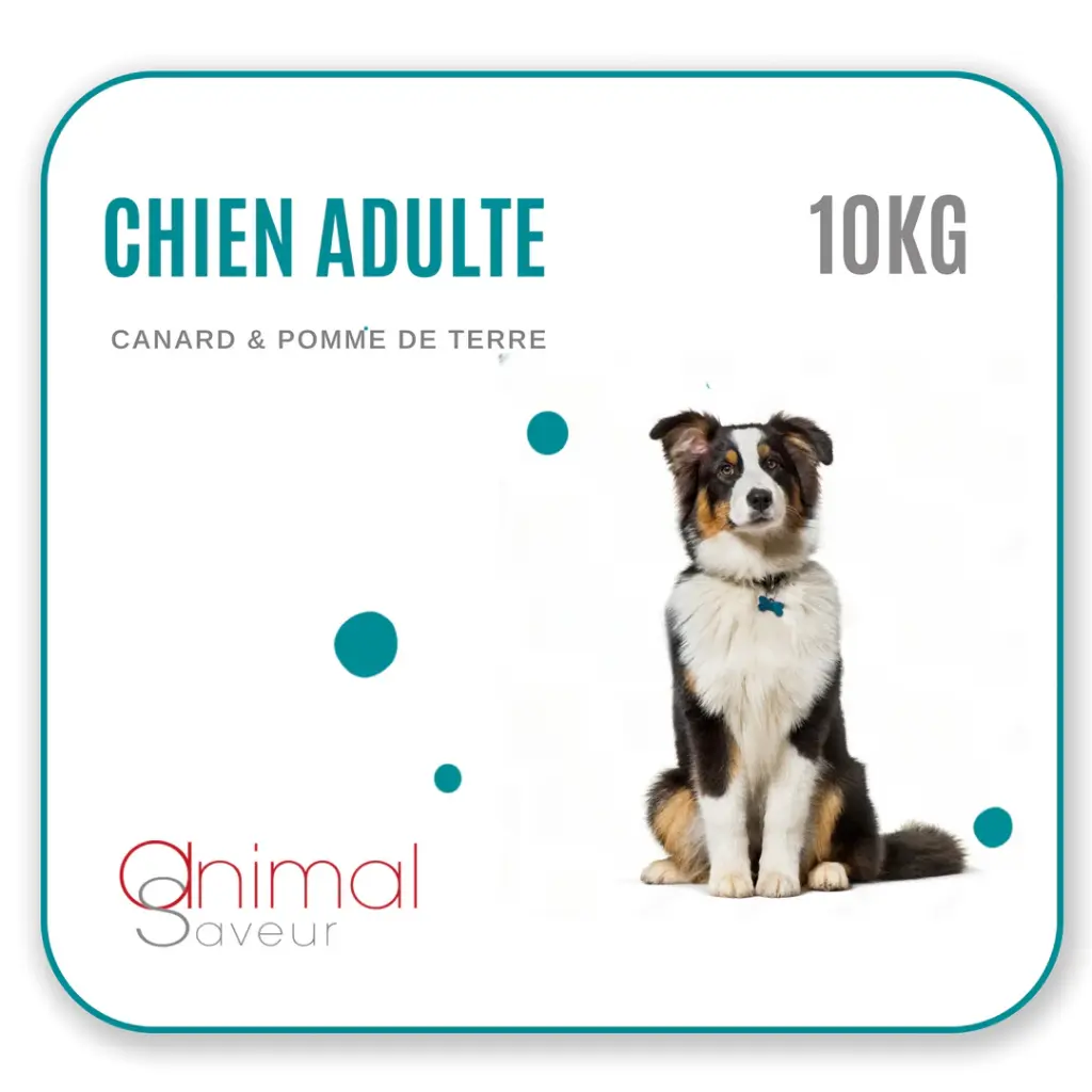 Croquettes Chien Adulte 10 kg - Canard / Pommes de Terre