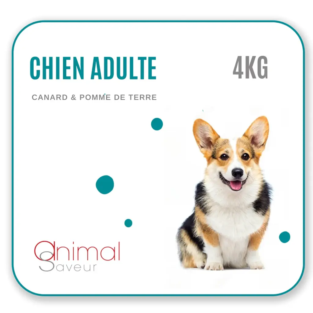 Croquettes Chien Adulte 4 kg - Canard / Pommes de Terre