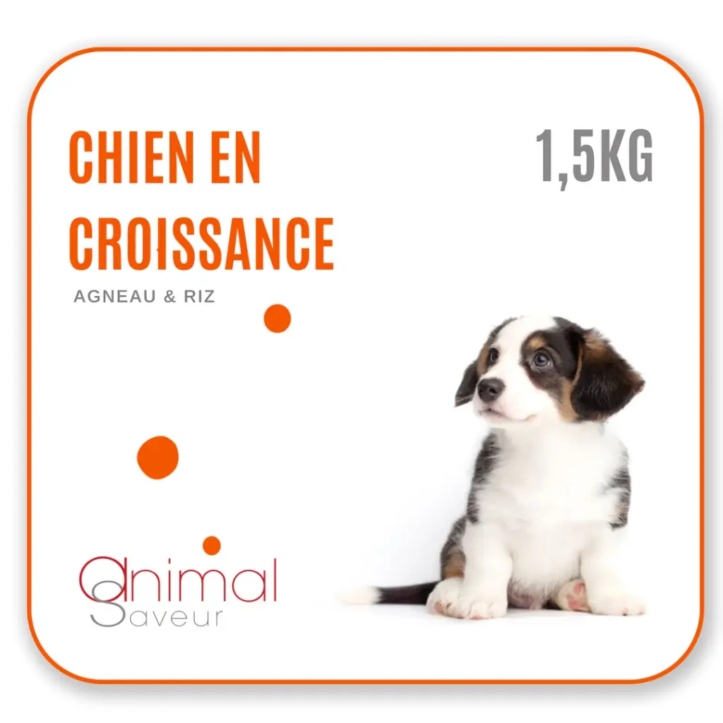 Croquettes Chien en Croissance 1,5 kg - Agneau / Riz