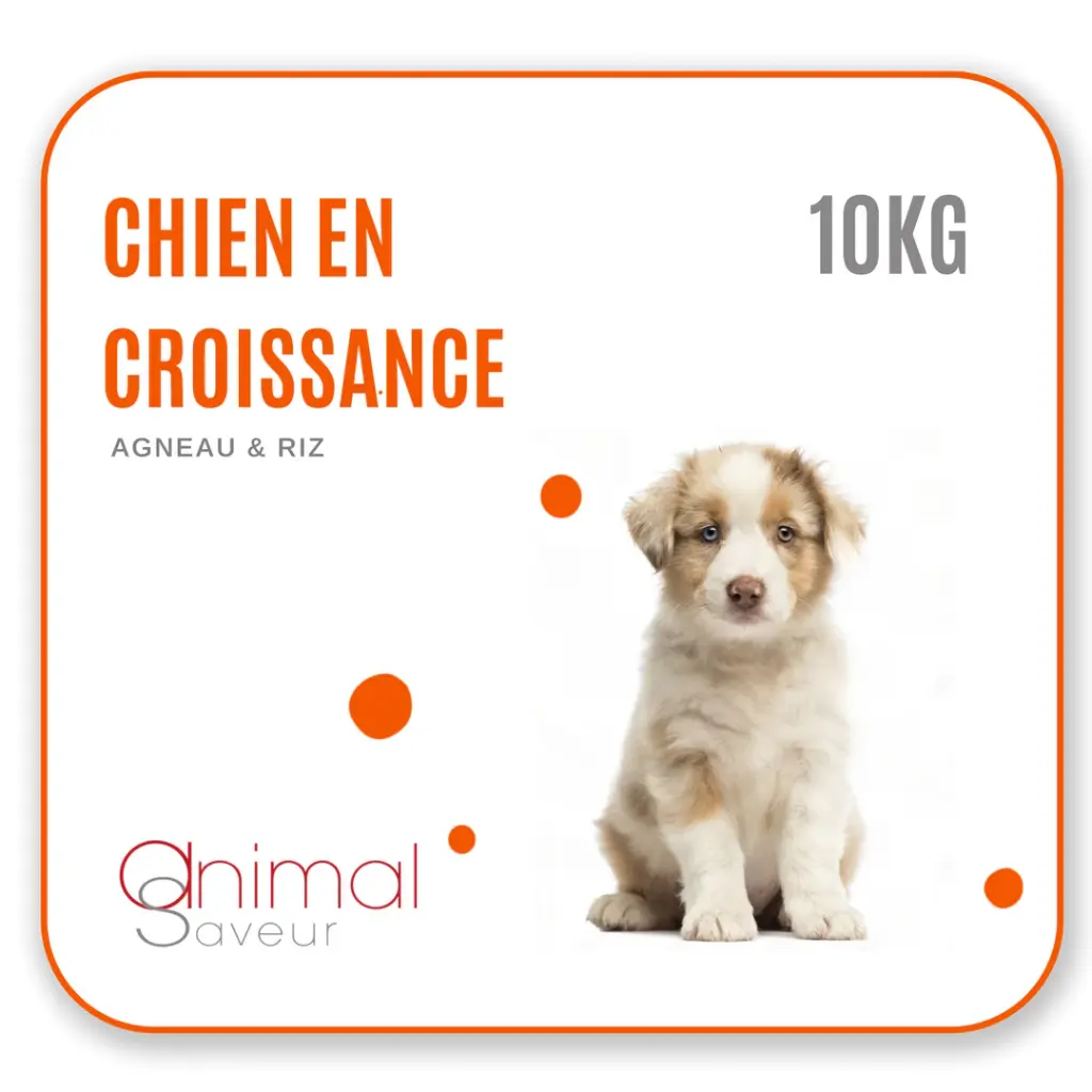 Croquettes Chien en Croissance 10 kg- Agneau / Riz