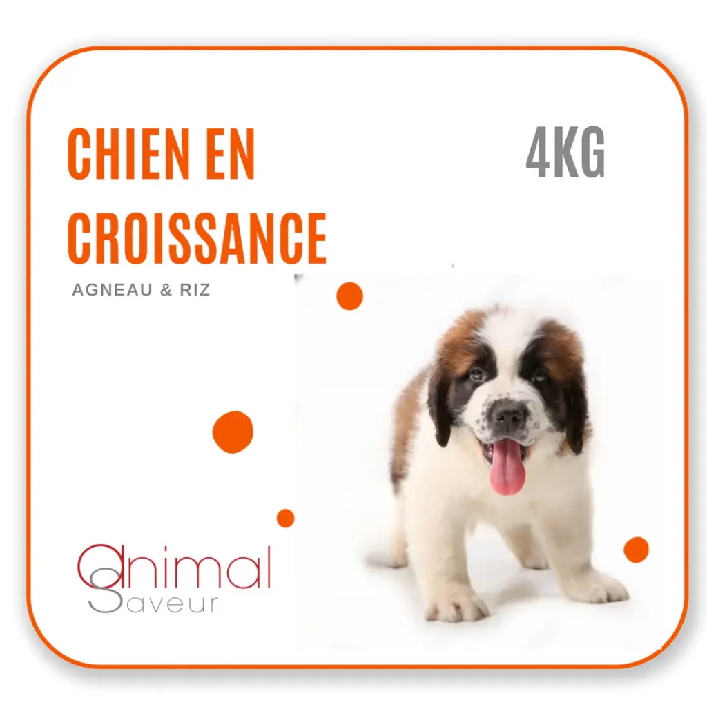Croquettes Chien en Croissance 4kg- Agneau / Riz