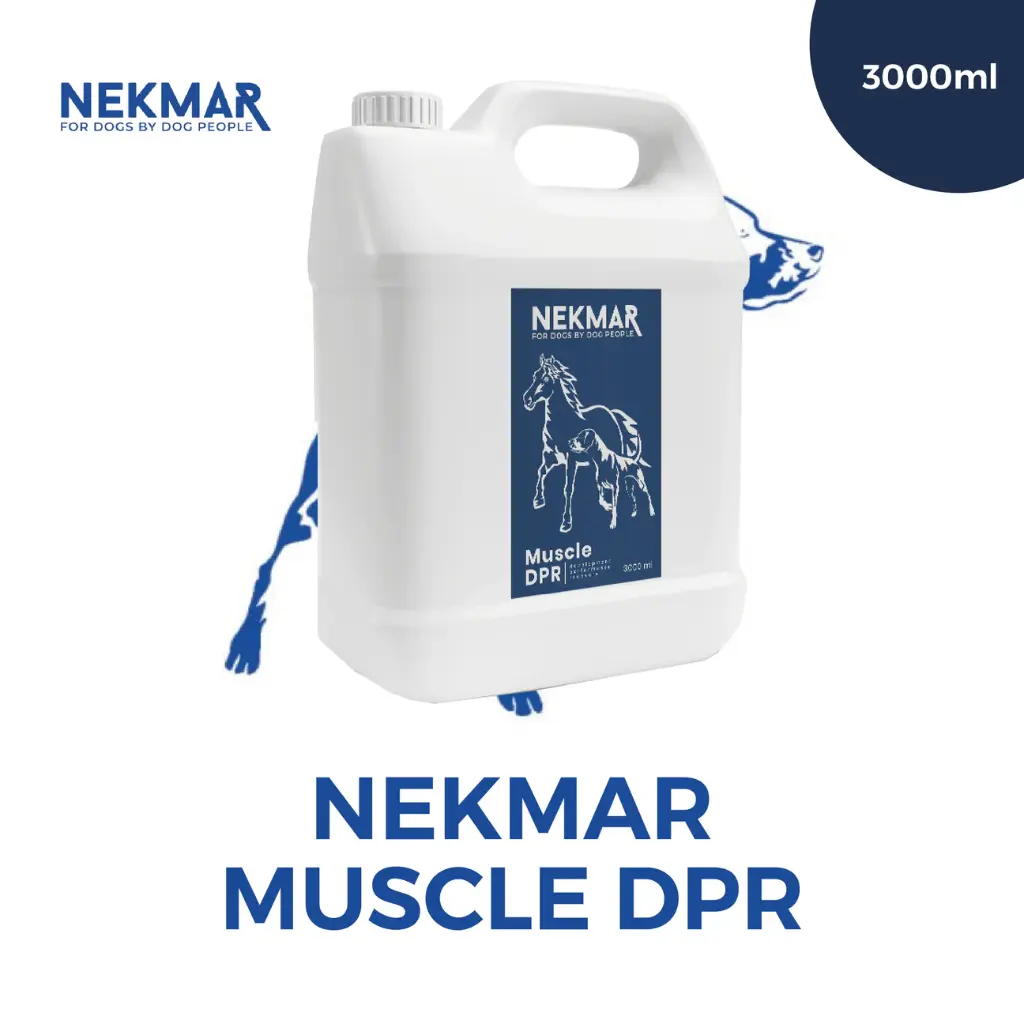 Muscle DPR | Complément alimentaire | 3000ml