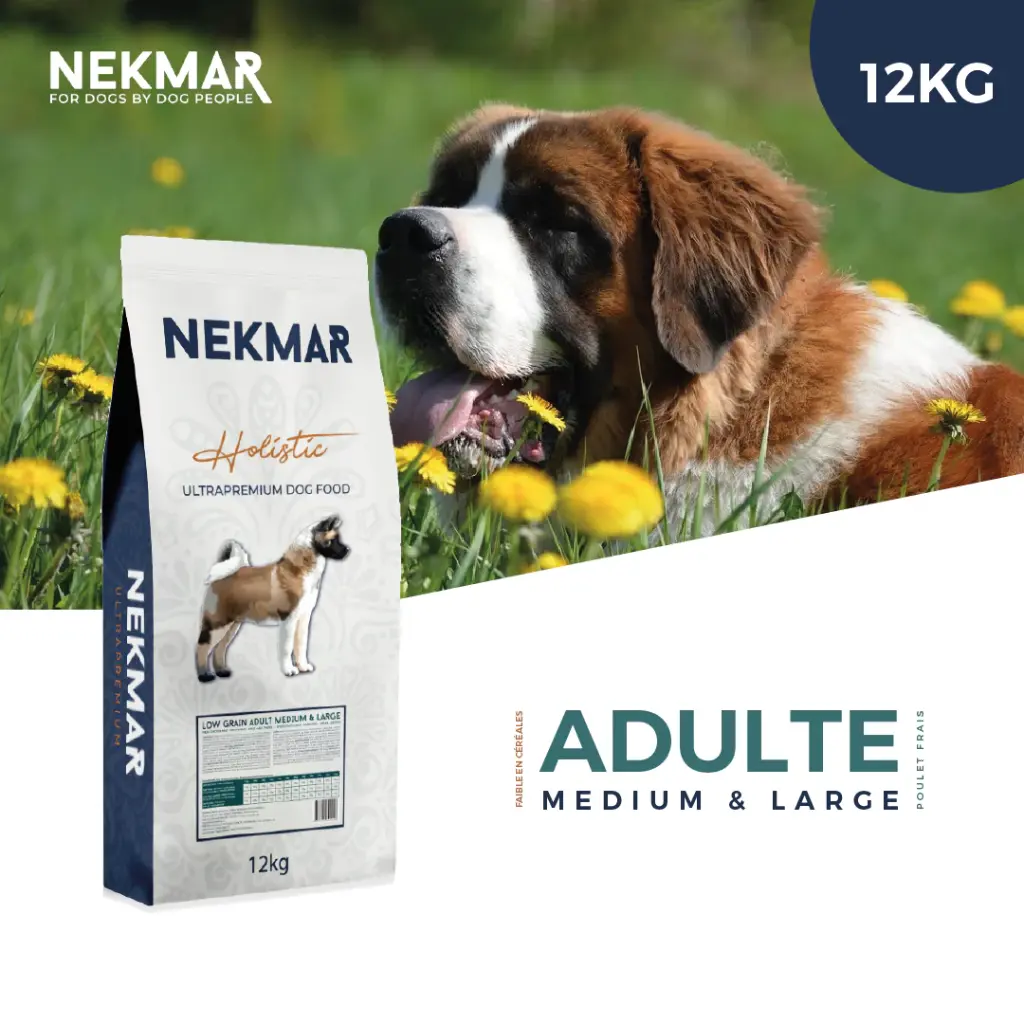 Croquettes Adulte Medium & Large | Poulet frais 12kg