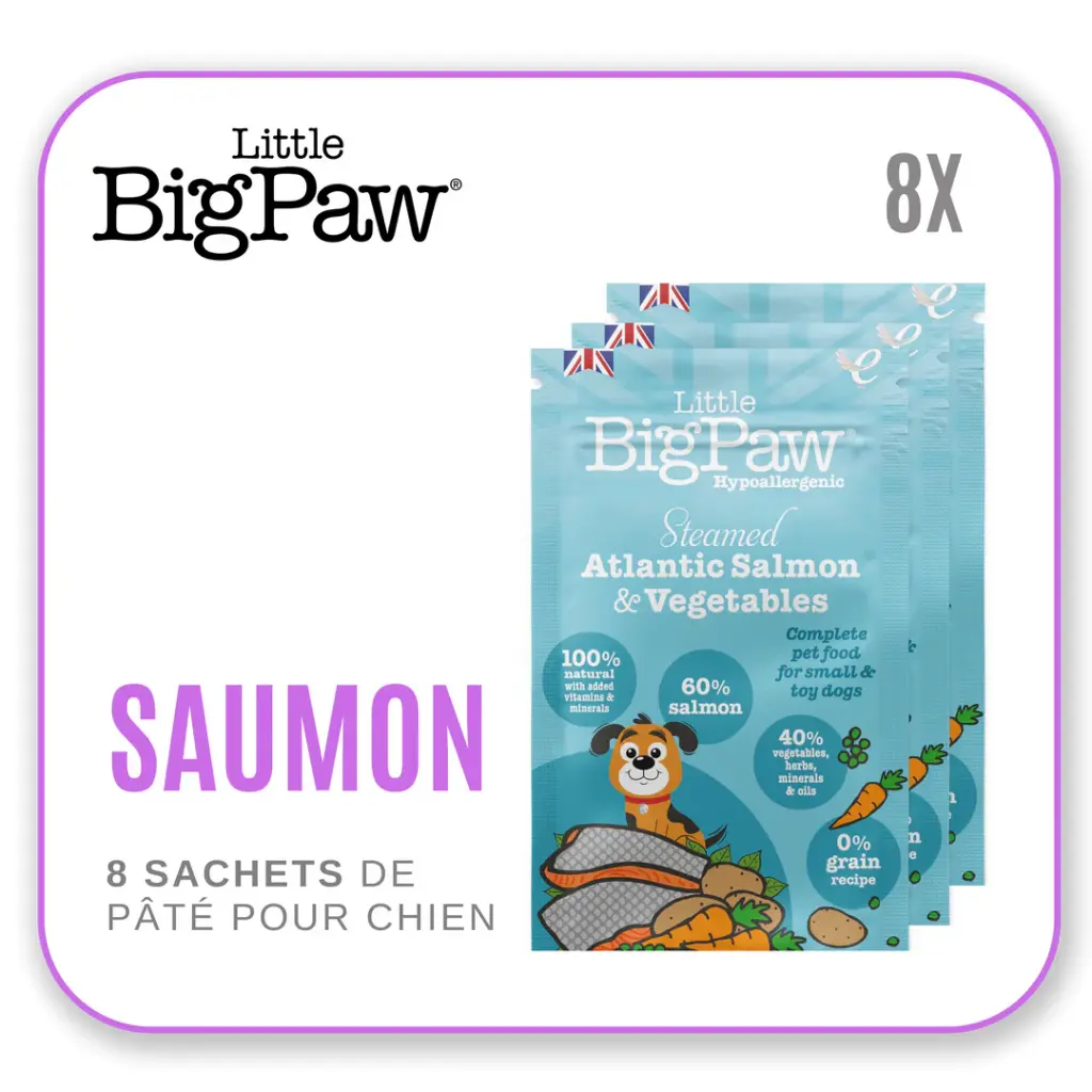 Little Big Paw Chien 150g Saumon - Carton