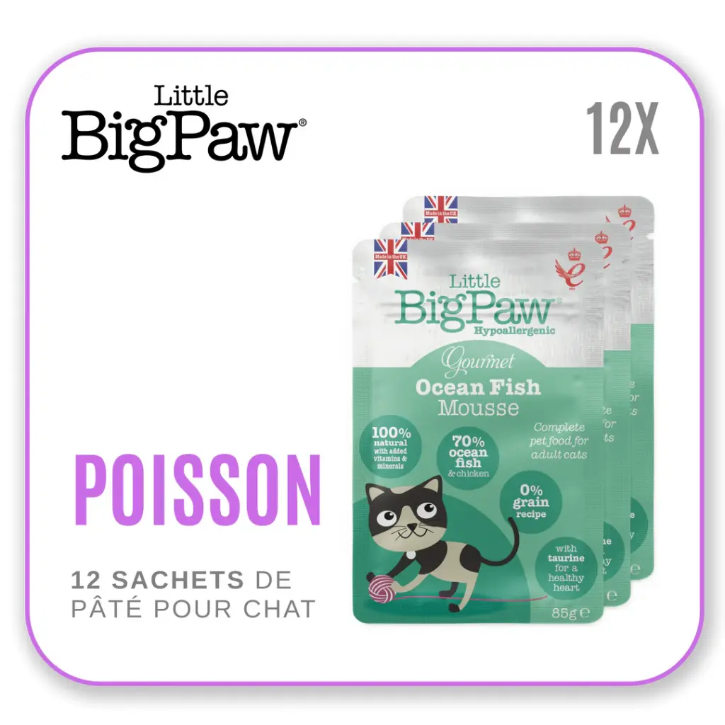 Little Big Paw Chat 85g Poissons - Carton