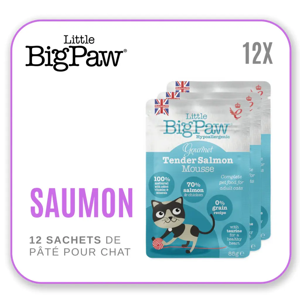 Little Big Paw Chat 85g Saumon - Carton