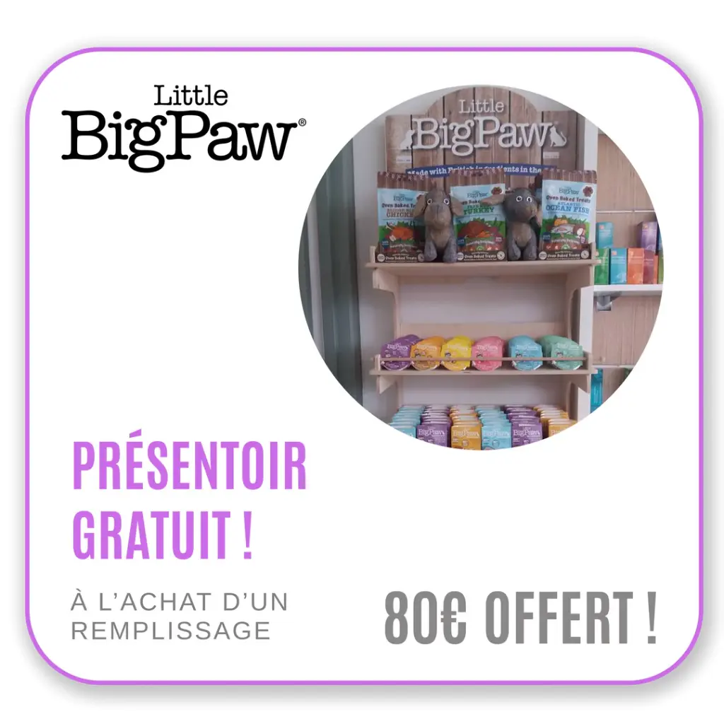 Little Big Paw - Offre présentoir